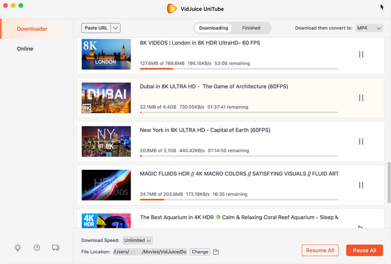 online video downloader